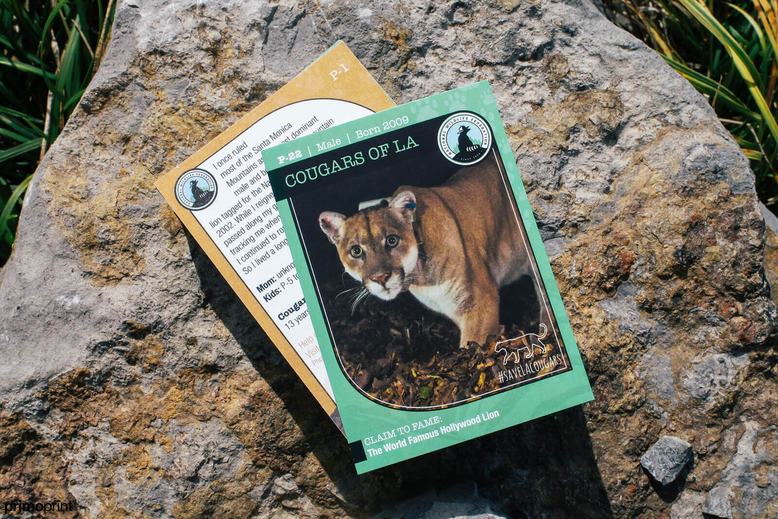 18PT C1S Trading Card