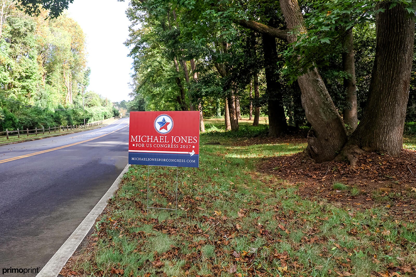 Coroplast Campaign Sign