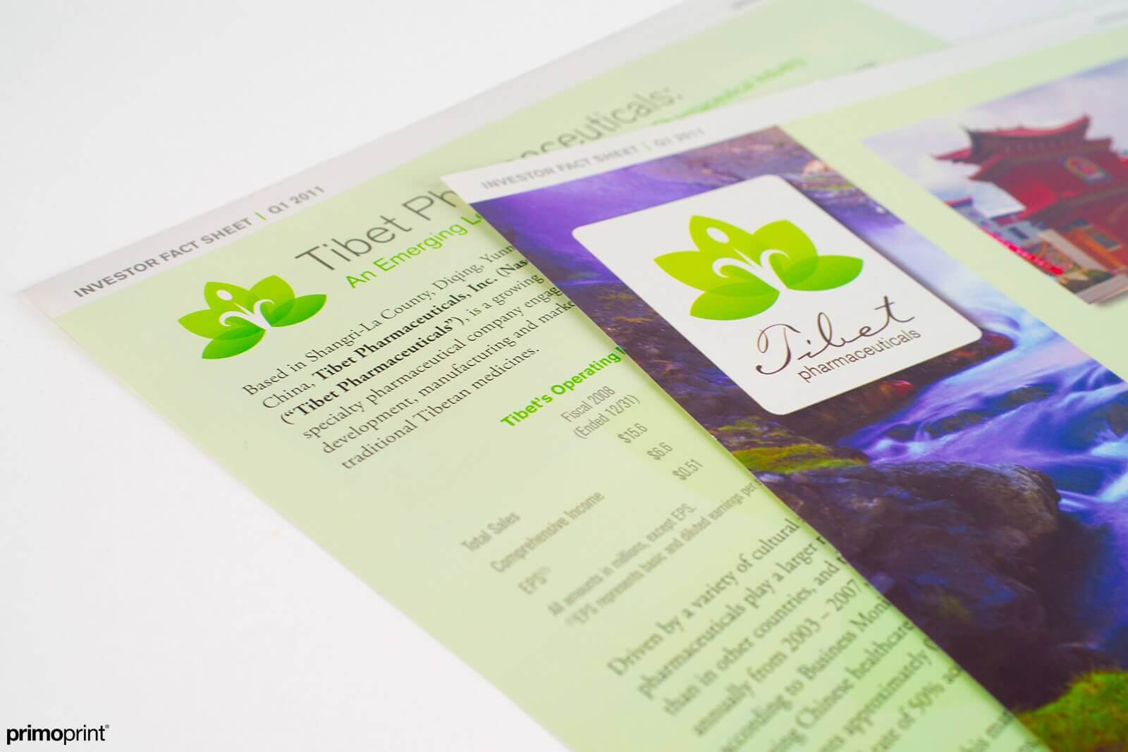 14pt Glossy UV Coated Sell Sheet