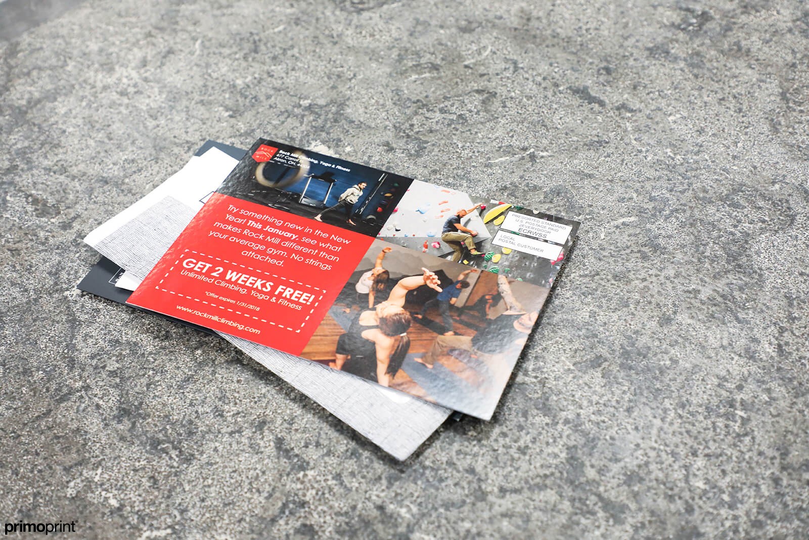 Glossy UV Coated EDDM® Postcards