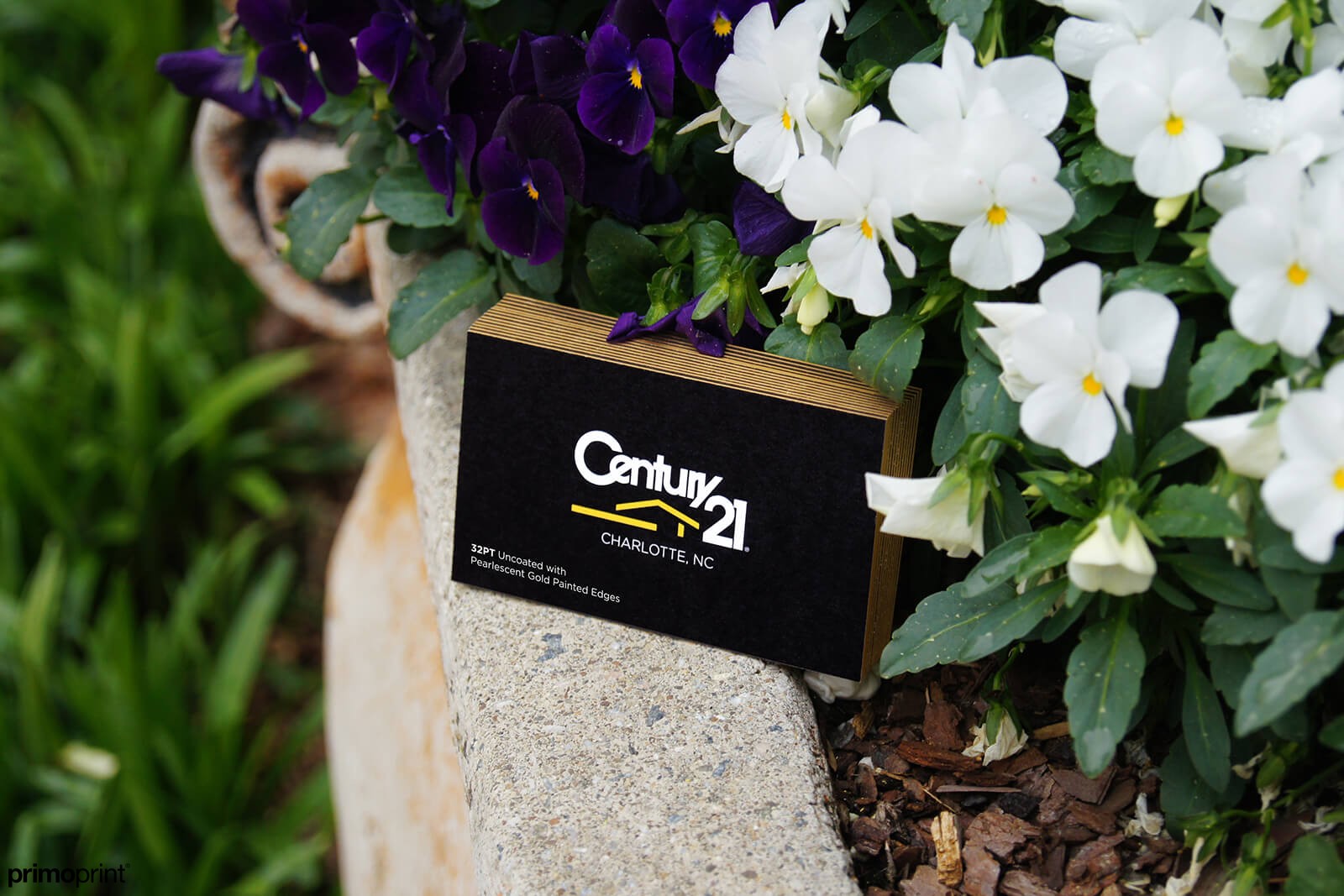 32pt Gold Painted Edge Business Card 