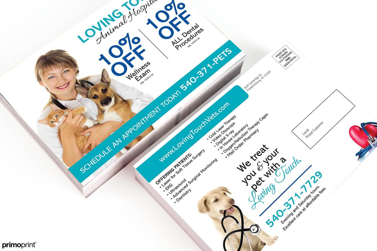 EDDM® Postcard with Spot UV